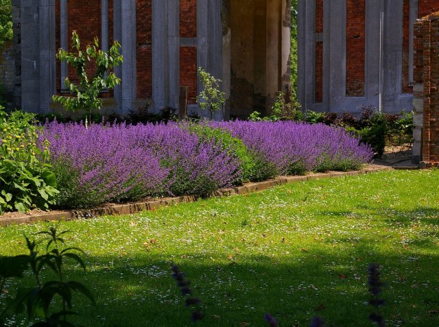 jardines _36_